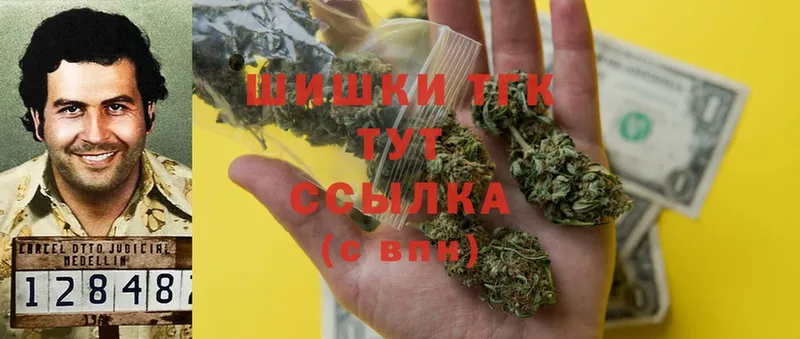 Бошки марихуана THC 21%  Злынка 